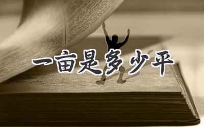一亩是多少平