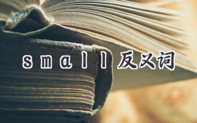 small反义词