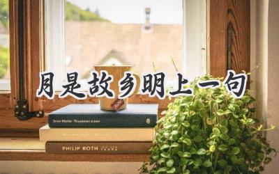 月是故乡明上一句