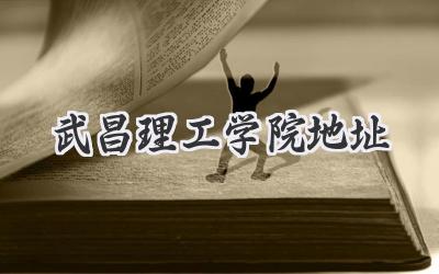 武昌理工学院地址