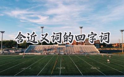含近义词的四字词