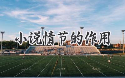 小说情节的作用