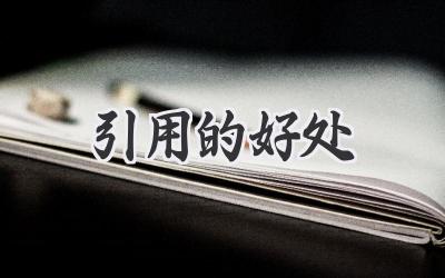 引用的好处