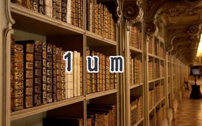 1um