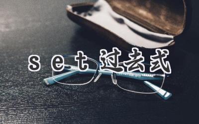 set过去式