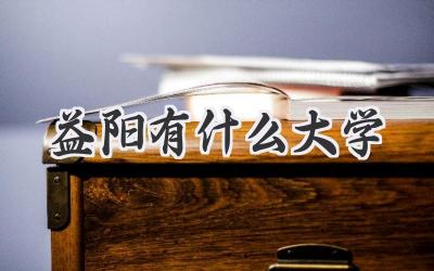 益阳有什么大学