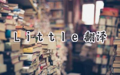 Little翻译