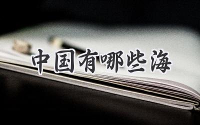 中国有哪些海