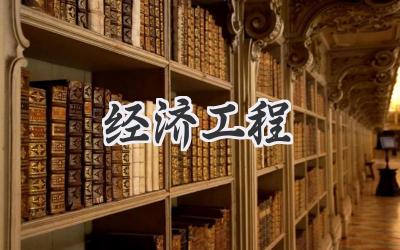 经济工程