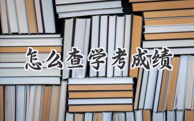 怎么查学考成绩