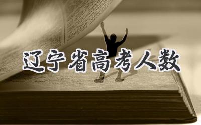 辽宁省高考人数
