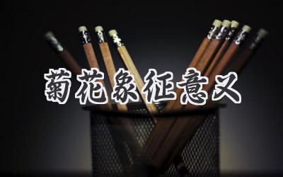 菊花象征意义