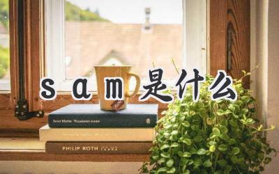 sam是什么