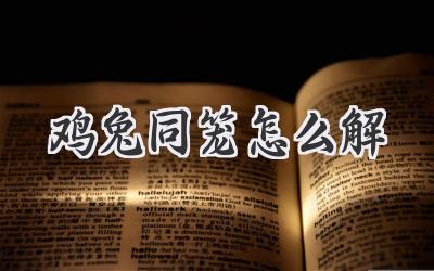 鸡兔同笼怎么解