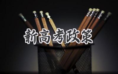 新高考政策