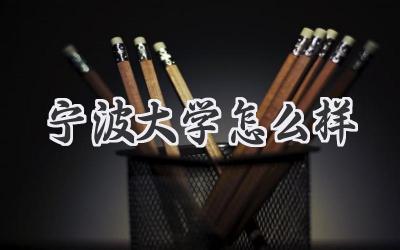 宁波大学怎么样