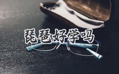 琵琶好学吗