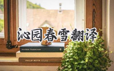 沁园春雪翻译
