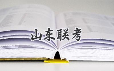 山东联考