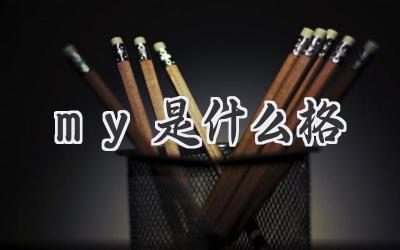 my是什么格