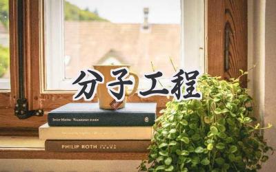 分子工程