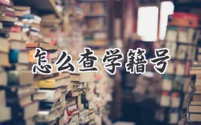 怎么查学籍号
