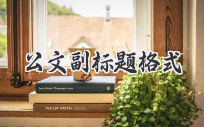 公文副标题格式