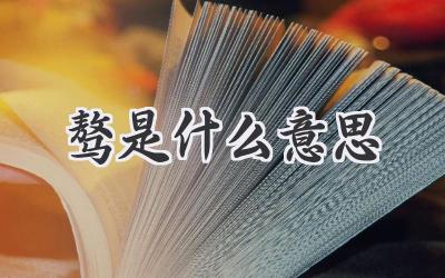 骜是什么意思