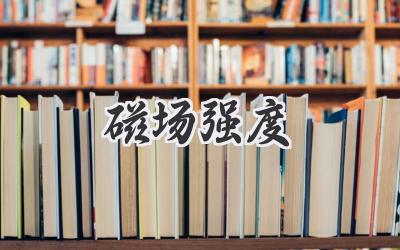 磁场强度
