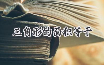 三角形的面积等于