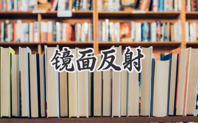 镜面反射