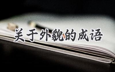 关于外貌的成语
