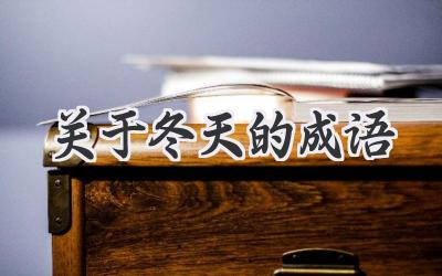 关于冬天的成语