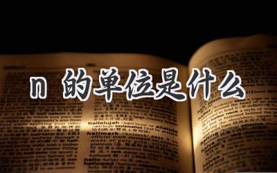 n的单位是什么