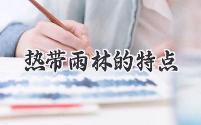 热带雨林的特点