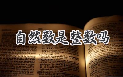 自然数是整数吗