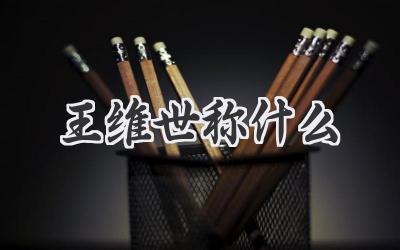 王维世称什么