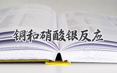 铜和硝酸银反应