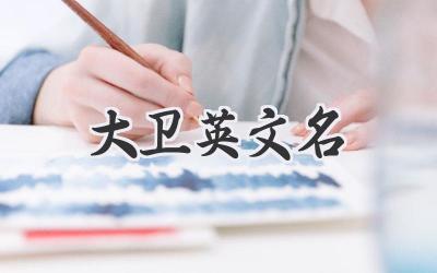 大卫英文名