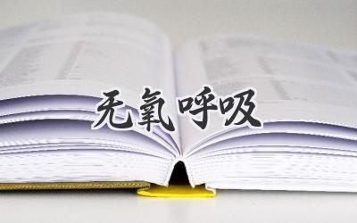 无氧呼吸