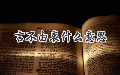 言不由衷什么意思