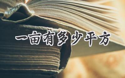 一亩有多少平方
