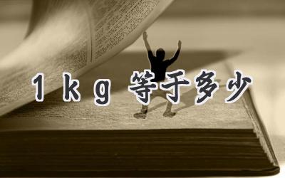 1kg等于多少
