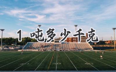 1吨多少千克