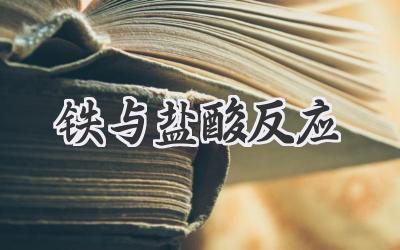 铁与盐酸反应