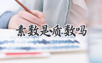 素数是质数吗