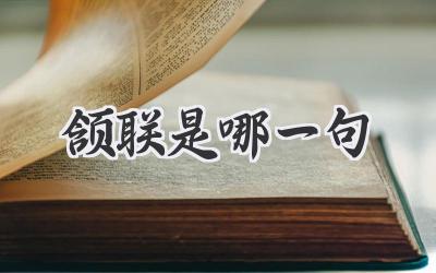 颔联是哪一句