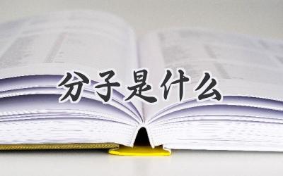分子是什么
