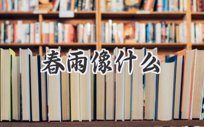 春雨像什么