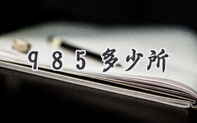 985多少所